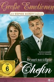 Poster Wie angelt man sich seine Chefin 2007