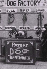 Poster Dog Factory 1904