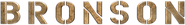 Bronson Logo