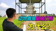 Episode 40