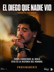 El Diego que nadie vio