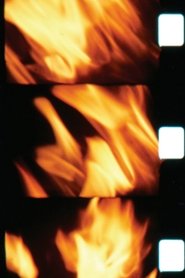 Poster Maya 1979
