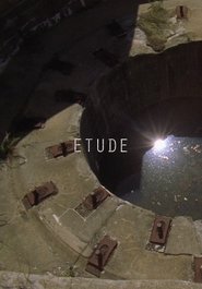 Poster Etude 2015