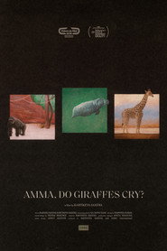 Amma, Do Giraffes Cry? (2026)