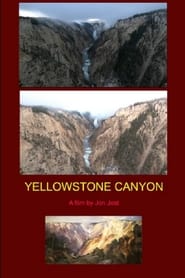 Poster Yellow Stone Canyon