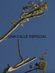 Poster Una Calle Especial 2019