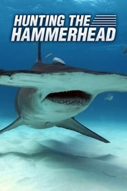 Poster Hunting the Hammerhead 2016