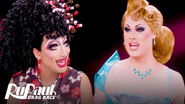 Bianca Del Rio & Scarlet Envy Are The Drama!
