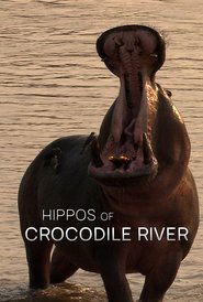 Hippos of Crocodile River 2020 Δωρεάν απεριόριστη πρόσβαση