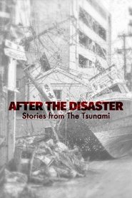 After The Disaster: Stories from The Tsunami After The Disaster: Stories from The Tsunami