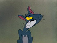 Nit-Witty Kitty
