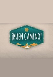 Buen camino poster