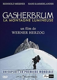 Gasherbrum - Der leuchtende Berg 1985