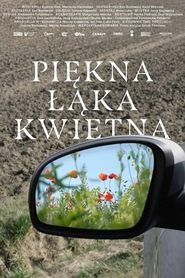 Poster Piękna łąka kwietna