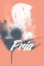 Poster Pria 2017