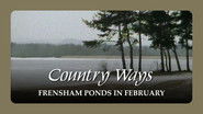 Frensham Ponds in February