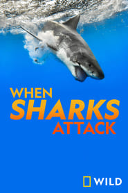 When Sharks Attack poster