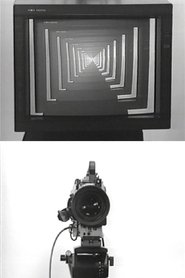 Poster Observer / Observed 1975