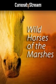 Poster Wild Horses of the Marshes 2015