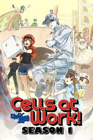 Cells at Work! Cells at Work! 12