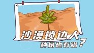 【地球 沙漠】沙漠锁边人，种树也有错？