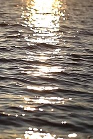 Poster Waivelength 2019