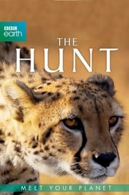 Poster for The Hunt