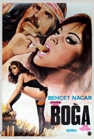 Poster Kara Boğa