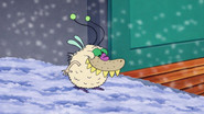 Abominable Snow Moth