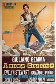 Adios Gringo постер