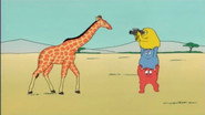 Les girafes