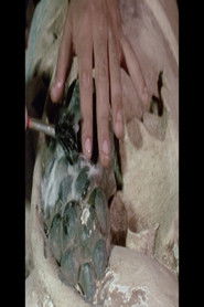 Dos Reis Magos dos Tupiniquins