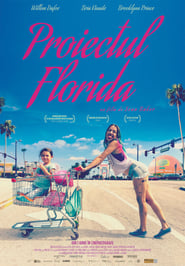 Proiectul Florida (2017)