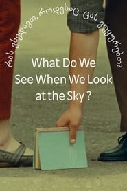Poster for What Do We See When We Look at the Sky?