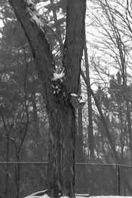 [Untitled] - Ébauche