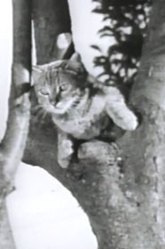 Poster Wing, Claw and Fang! 1946