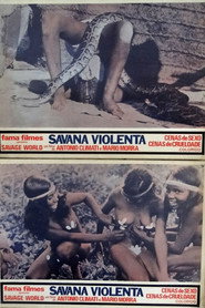 This Violent World