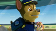 Os filhotes salvam o primeiro dia de aula