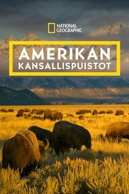 Amerikan kansallispuistot