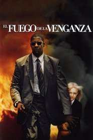 El fuego de la venganza poster