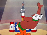 Big Top Bunny