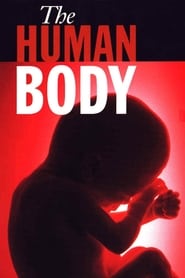 The Human Body постер