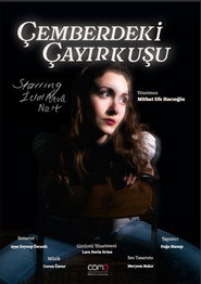 Çemberdeki Çayırkuşu