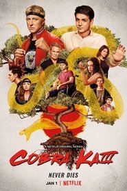Cobra Kai – Temporada 3