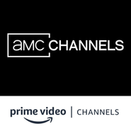 AMC Channels Amazon Channel