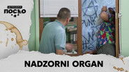 2241 Nadzorni organ