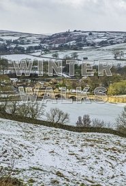 Poster Winter Walks 2021