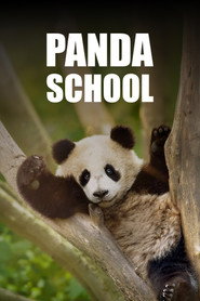 Panda School