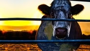 Cowspiracy: Le Secret de la durabilité en streaming
