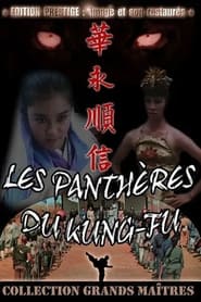 Les Panthères du Kung Fu streaming